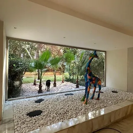 Superbe - 50m2 & Terrasse - Tres Proche Croisette *